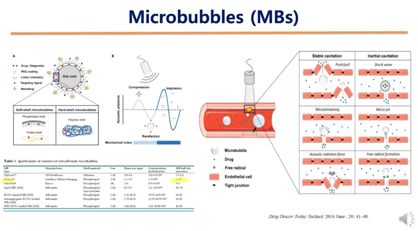 Interim WSSFN Virtual Symposium // Advances in Functional Neurosurgery