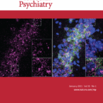 Deep brain stimulation for refractory obsessive-compulsive disorder (OCD): emerging or established therapy?